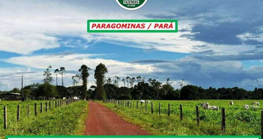 FAZENDA EM PARAGOMINAS/PA- BOA LOGISTICA E ESTRUTURADA