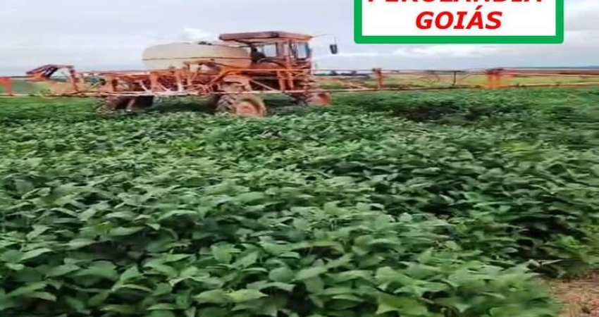 FAZENDA REGIÃO DE SAFRA E SAFRINHA-ÁGUA EM ABUNDÂNCIA E A 8KM DA CIIDADE
