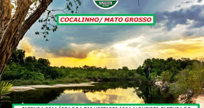 FAZENDA EM COCALINHO/MT-PRÓPRIA PRA PECUÁRIA E LAVOURA DE ARROZ