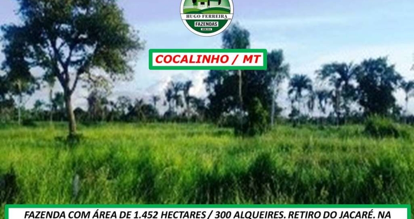 FAZENDA EM COCALINHO/MT-ESTRUTURADA-4,5 QUILÔMETROS DO RIO PIABA