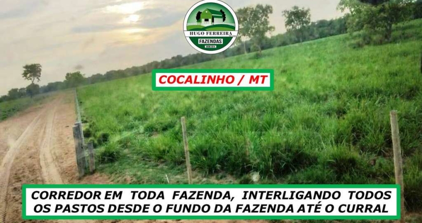 FAZENDA EM COCALINHO/MT-DUPLA APTIDÃO-3.500 METROS DE BEIRA DO RIO