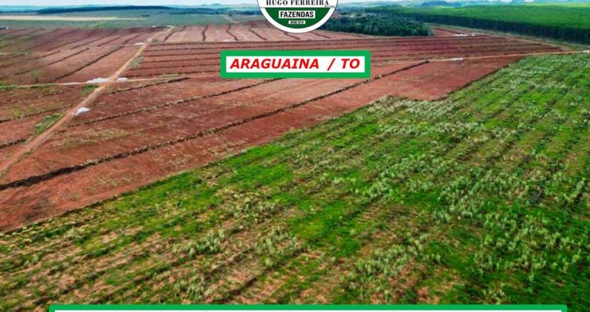 FAZENDA EM ARAGUAÍNA/TO-DUPLA APTIDÃO-BOA TOPOGRAFIA-ESTRUTURADA