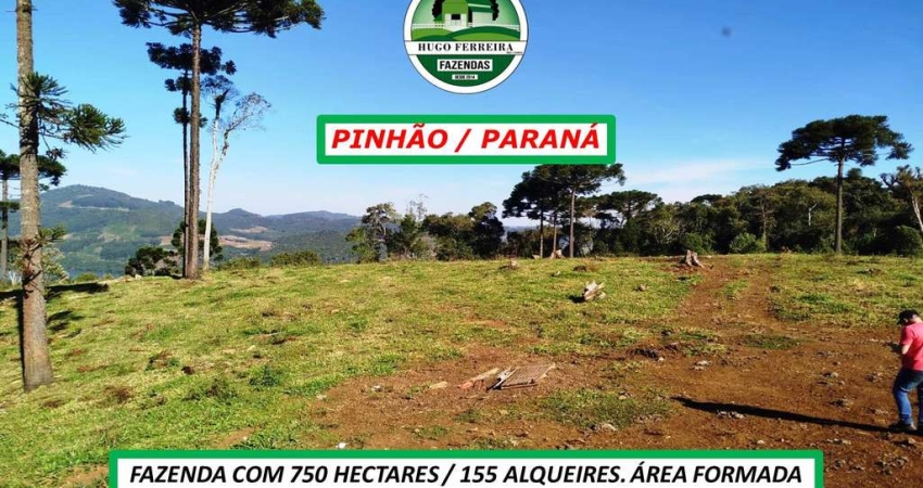 FAZENDA EM PINHÃO/PR-RECURSOS HÍDRICOS: RIO IGUAÇU E BARRAGEM