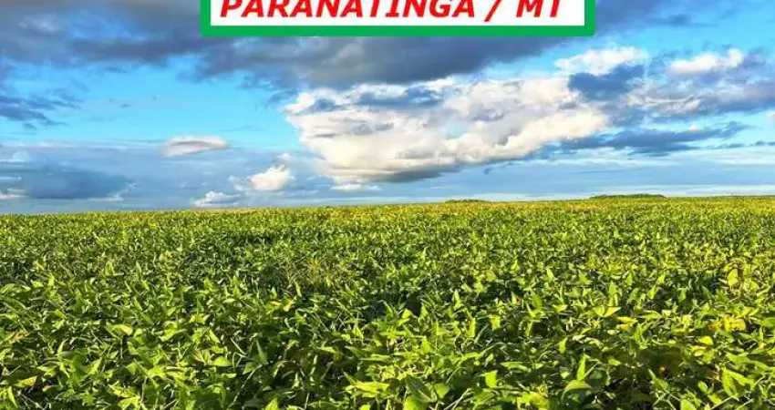 FAZENDA BOA LOGÍSTICA: 48 KM DO FRIGORÍICO MINERVA-DUPLA APTIDÃO