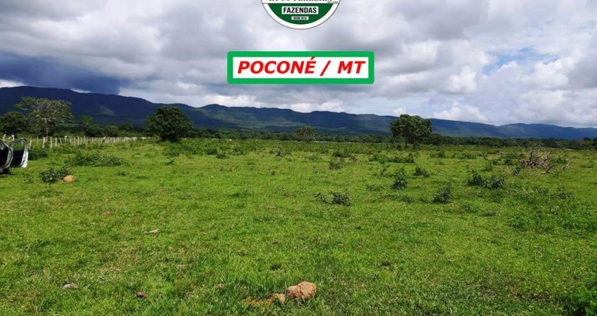 FAZENDA NÃO É REGIÃO DO PANTANAL-ESTRUTURADA- À 3KM DO ASFALTO