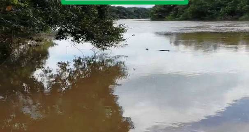 FAZENDA COM ESTRADA BOA-ESTRUTURADA-BANHADA POR  RIO E CÓRREGO