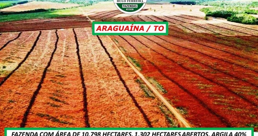 FAZENDA DUPLA APTIDÃO-TOPOGRAFIA PLANA- LOCAL DE SAFRA E SAFRINHA