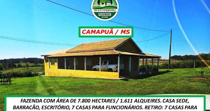 FAZENDA COM TOPOGRAFIA SEMI-PLANA-RESERVATÓRIO DE 150 À 800 MIL LITROS