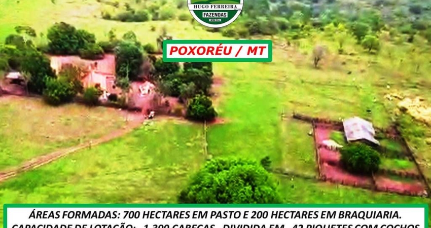 FAZENDA À 58KM DO ASFALTO-DUPLA APTIDÃO-CÓRREGOS-ESTRUTURADA-CERTIFICADA