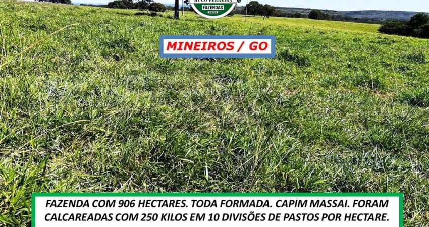 FAZENDA COM TOPOGRAFIA PLANA E ONDULADA-TODA CERCADA-ESTRUTURADA