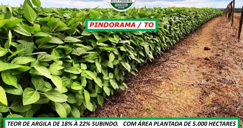 FAZENDA COM RODOVIA DENTRO DA PROPRIEDADE-SAFRA E SAFRINHA-ARGILA ALTA