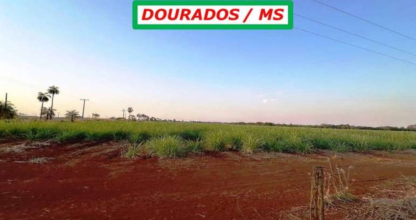 FAZENDA NA BEIRA DO ASFALTO-DUPLA APTIDÃO-90%PLANA-ALTO TEOR DE ARGILA