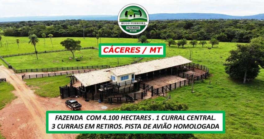 FAZENDA ESTRUTURADA-PASTAGEM EM BRANQUIÁRIA HUMIDICOLA E CAPIM MOMBAÇA