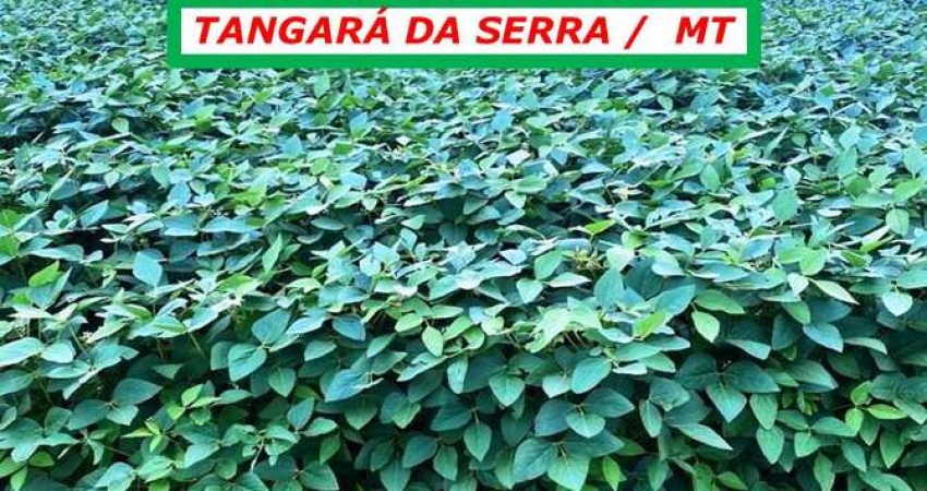 FAZENDA COM BOA LOCALIZAÇÃO-LOGÍSTICA CONVERGENTE-ARGILA: 12 À 32% SUBINDO