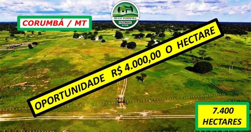 FAZENDA PARA PECUÁRIA -TODA CERCADA- PERTINHO DO ASFALTO DA BR-262
