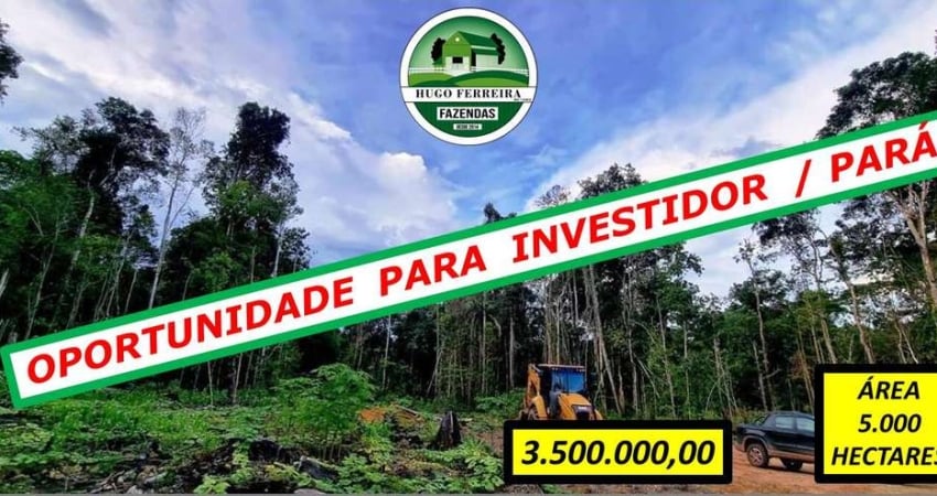 FAZENDA PRONTA PARA PLANTAR AREA DE RESERVA E TODA ESTRUTURADA