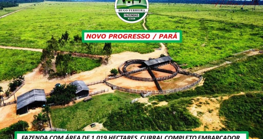 FAZENDA DUPLA APTIDÃO ESTRUTURADA NEGOCIÁVEL: ENTRADA E SALDO PRA DOIS ANOS