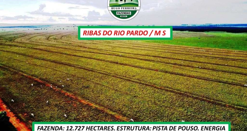 FAZENDA  COM ARGILA 12 À 18% ÀS MARGENS DA RODOVIA MS-338 ESTRUTURADA