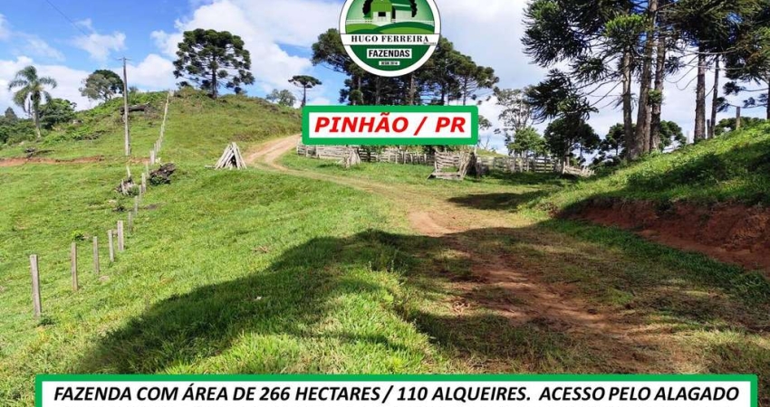FAZENDA DISTANTE 33KM DA CIDADE TODA CERCADA DE ARAMES ESTRUTURADA