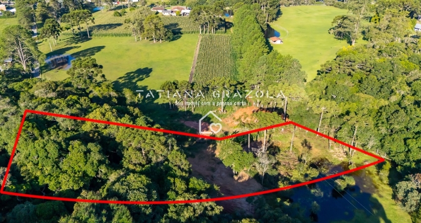 Chácara à venda por R$ 330.000 no Borda do Campo - São José dos Pinhais -PR