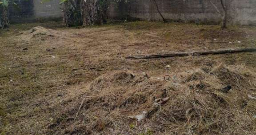 Terreno  à venda, 250 m² por R$ 90.000 - Jardim Marcia I - Peruíbe/SP