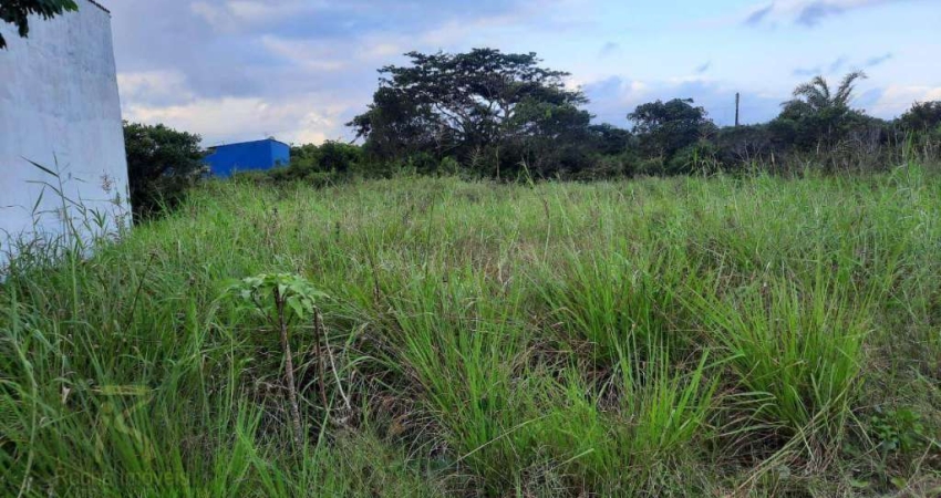 Terreno à venda, 250 m² por R$ 75.000,00 - Estância São José - Peruíbe/SP