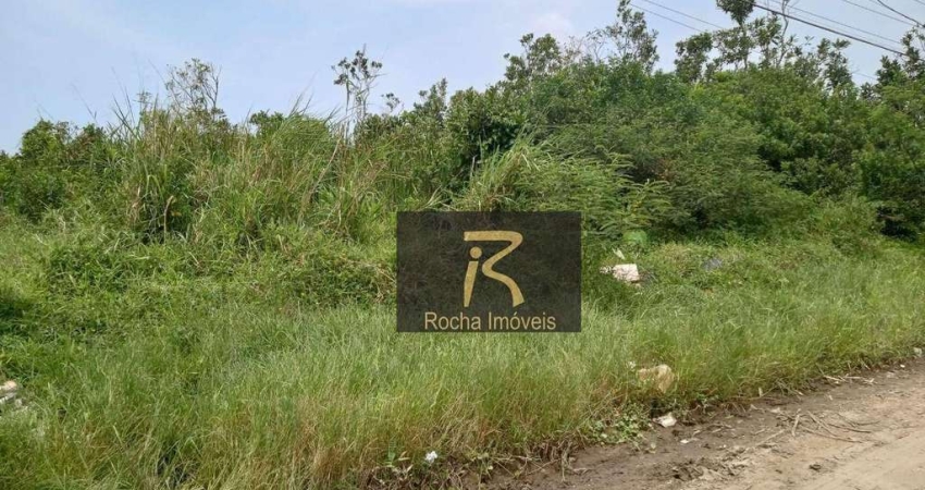 Terreno à venda, 310 m² por R$ 60.000 - Balneário Caraguava - Peruíbe/SP