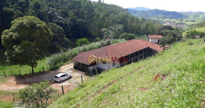 Sítio à venda, 210000 m² por R$ 1.395.000,00 - Bairro do Palmital  - Redenção da Serra/SP