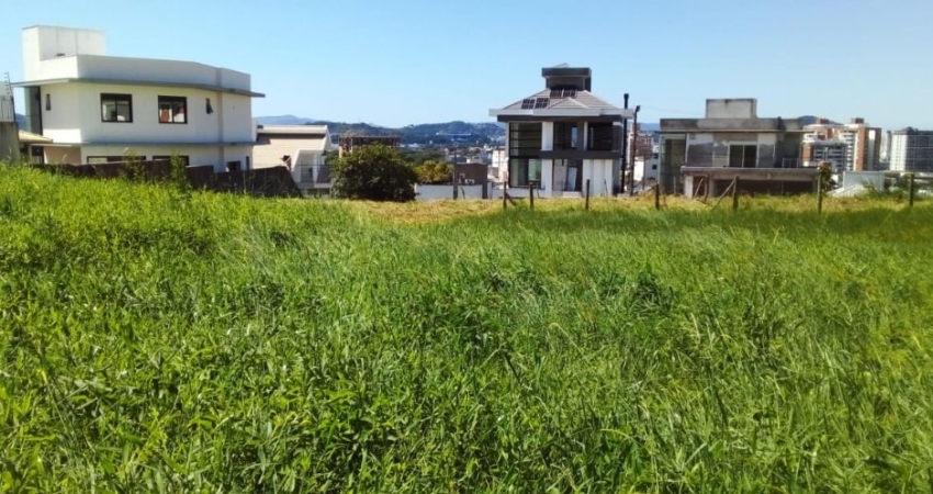 Terreno à venda na Rua do Copo de Leite, Cidade Universitária Pedra Branca, Palhoça