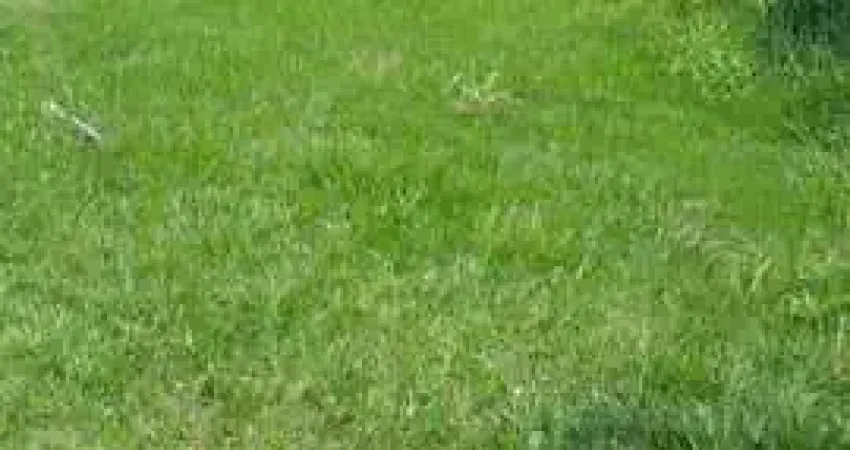 Terreno no Condomínio Valville 2 - Santana de Parnaíba