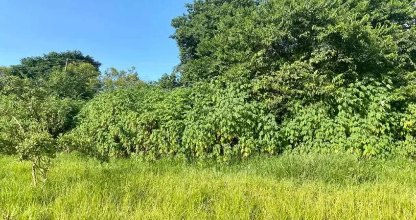 Terreno à venda, 1000 m² por R$ 1.100.000,00 - Enseada das Garças - Belo Horizonte/MG