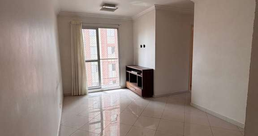 Apartamento à venda 3 Dormitorios 1 Suite 1 Vaga , Cambuci, São Paulo, SP
