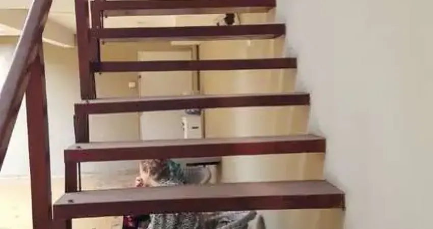 Casa para locação, 4 vagas e 450m2 localizada na planalto paulista, são paulo, sp