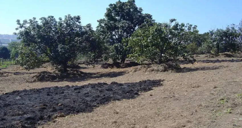 Terreno na avenida jacú pêssego para venda e locação - área total - 18.297 m2.