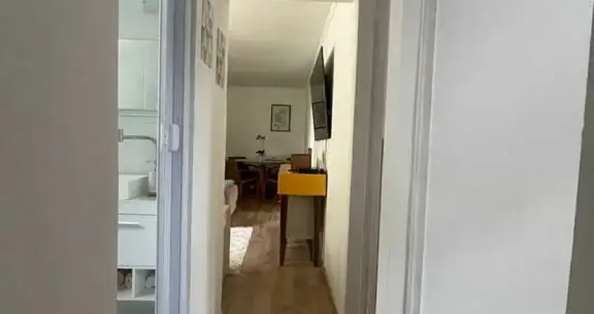 Apartamento  3 dormitorios 1 vaga à venda, vila moraes, são paulo, sp