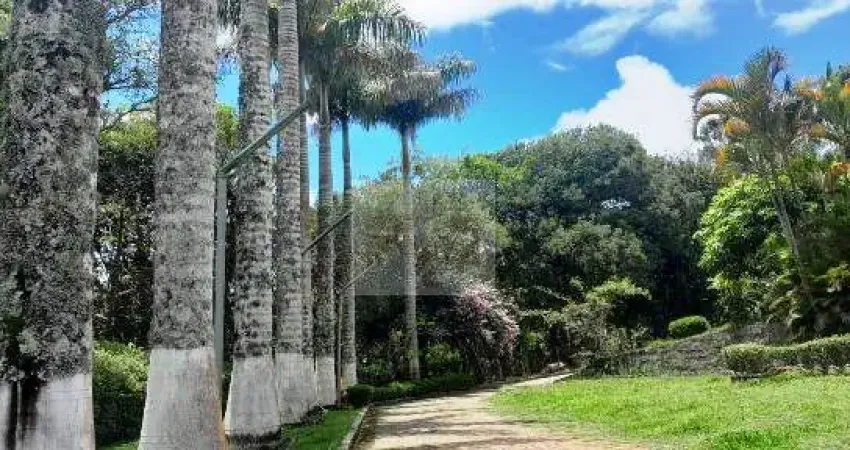 Chácara / sítio com 6 quartos à venda na Rua Domingos Pazini, Estância Angelina, Suzano
