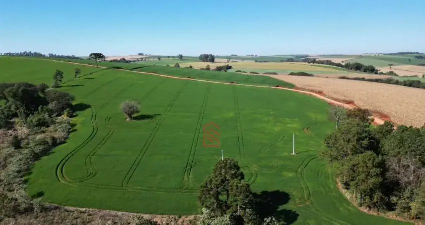 Chácara / sítio à venda na ESTRADA RIO DA BULHA, Jardim Iporá, Ivaiporã