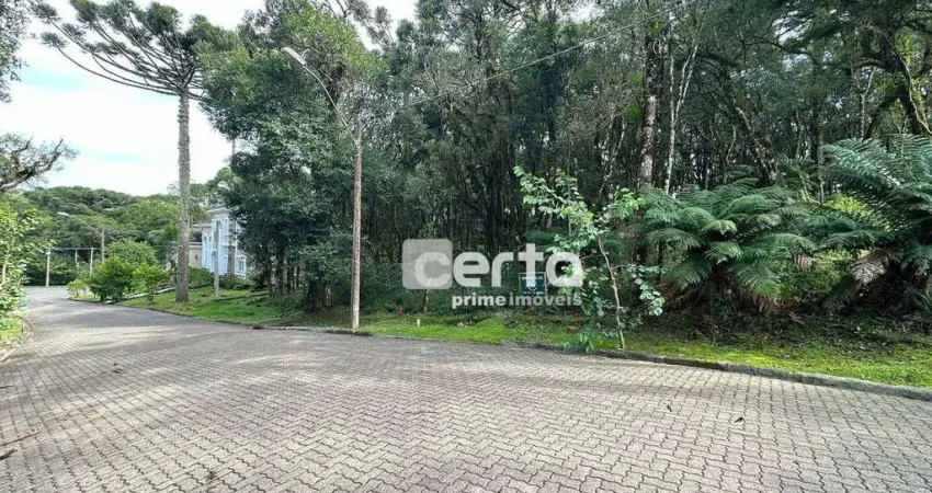 Terreno à venda, 744 m² por R$ 630.000,00 - Pinheiro Grosso - Canela/RS