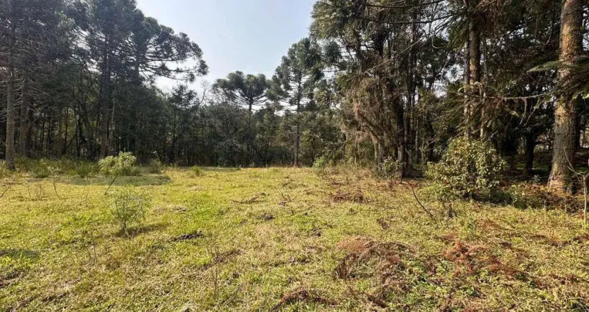 Terreno à venda no Caracol, Canela 