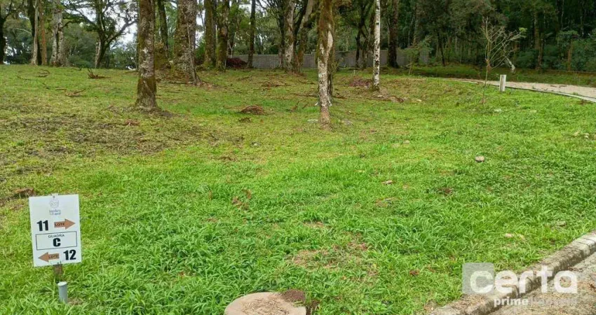 Terreno à venda, 421 m² Jardim do Farol - Canela/RS
