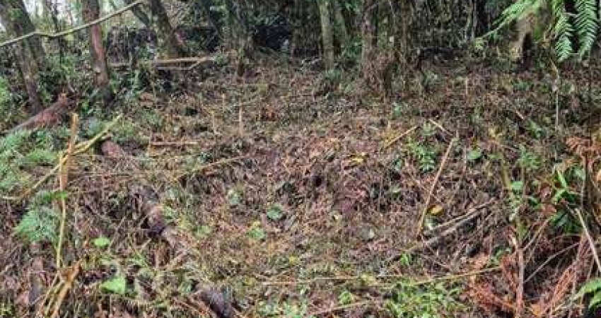 Terreno à venda no Alpes Verdes, Canela