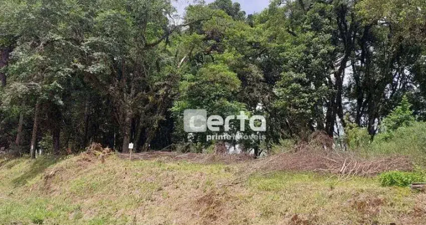 Terreno à venda na São Luiz, Canela