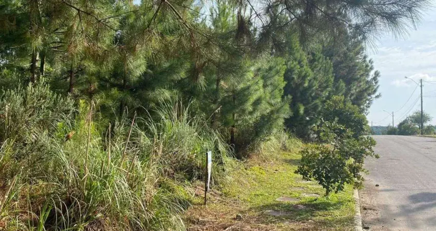 Terreno à venda no Mato Queimado, Gramado 