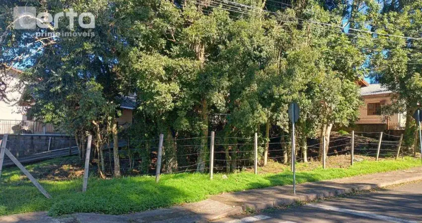 Terreno à venda, 361 m² por r$ 500.000,00 - santa terezinha - canela/rs