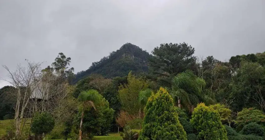 Área à venda, 2158000 m² por r$ 6.050.000,00 - são joão - canela/rs