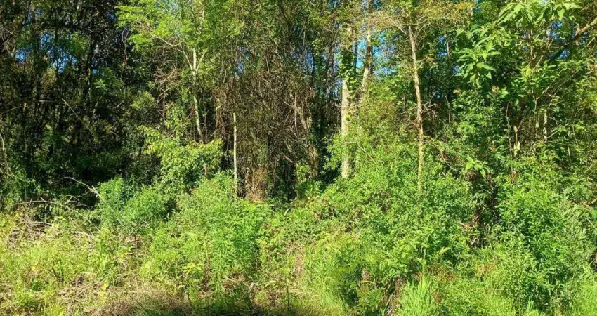Lindo terreno plano arborizado em gramado-rs muito bem localizado