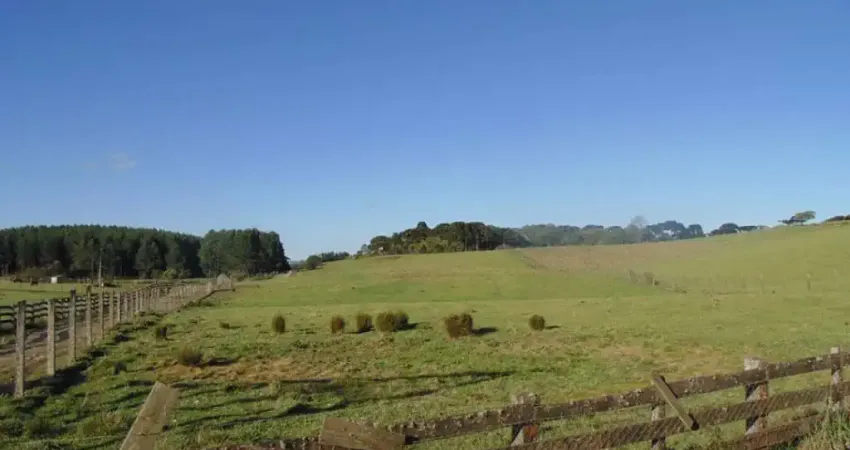 Terreno à venda no Saiqui, Canela 