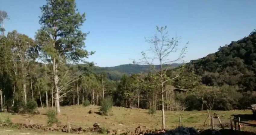 Chácara / sítio à venda no Caracol, Canela 