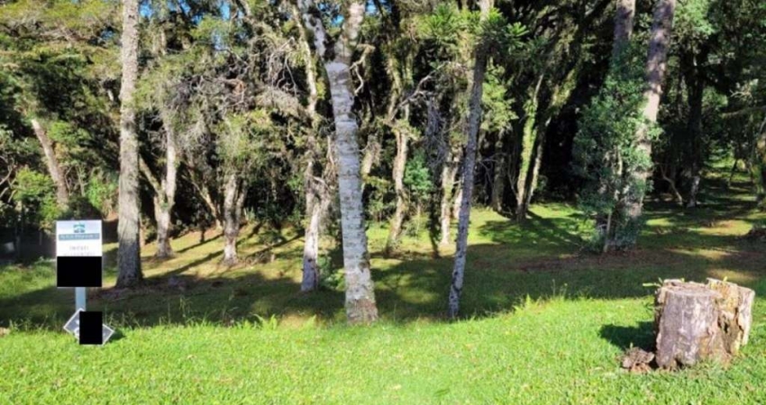 Terreno Residencial à venda, Altos Pinheiros Canela