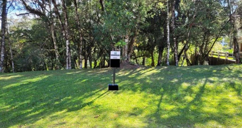 Terreno Residencial à venda, Altos Pinheiros Canela